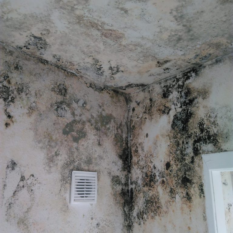 Schimmelsanierung – DerBaudienstleister Schimmelbefall an Wand und Decke eines Innenraums vor der Sanierung – Originalaufnahme von DerBaudienstleister.